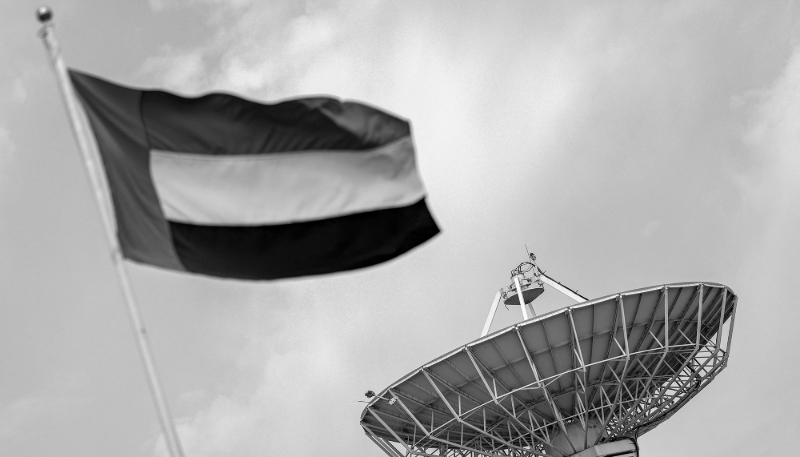 The United Arab Emirates flag.