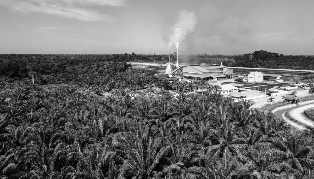 Palm oil extraction plant in Meulaboh, on the west coast of Aceh province, Indonesia.