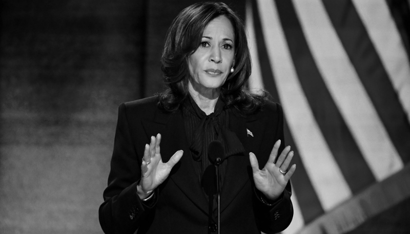 Kamala Harris, Democratic Party candidate for president of the United States, at the Democratic National Convention.