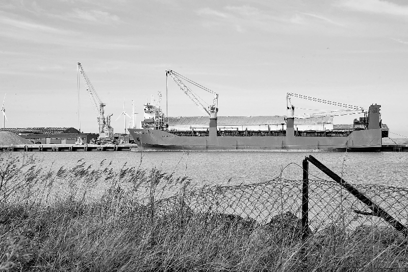 The Russian-flagged cargo ship Baltic Leader.